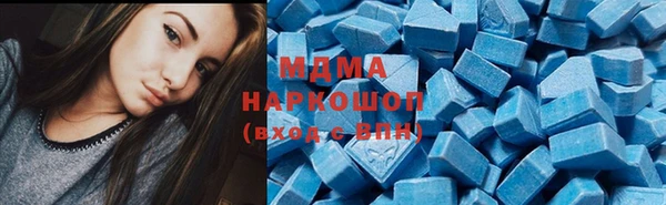 PSILOCYBIN Алзамай