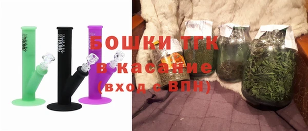 PSILOCYBIN Алзамай