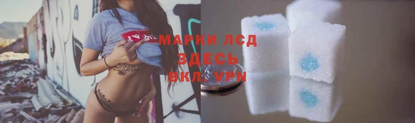 PSILOCYBIN Алзамай
