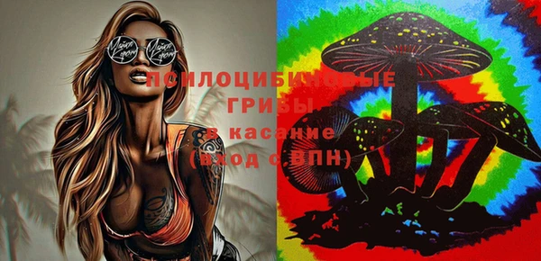 PSILOCYBIN Алзамай