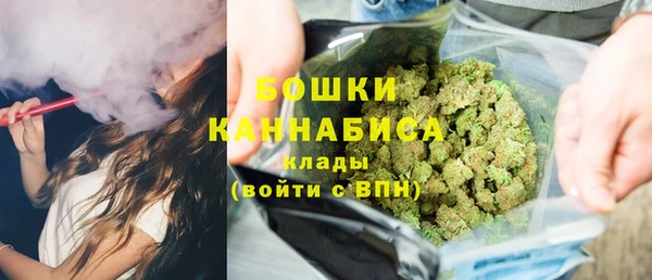PSILOCYBIN Алзамай