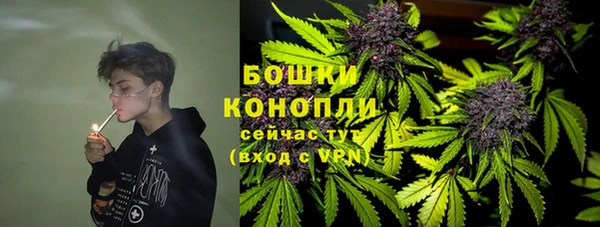 дурь Алексеевка