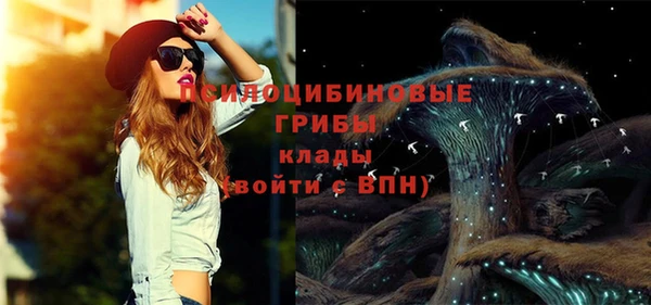 PSILOCYBIN Алзамай